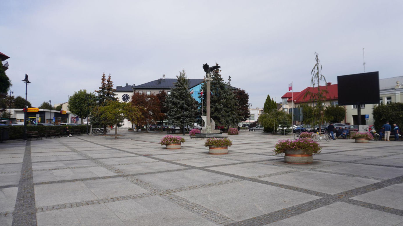 Łapy