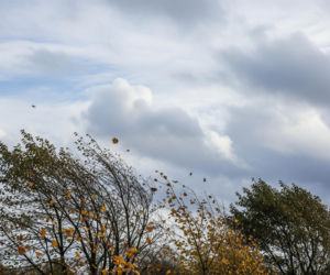 Pogoda Rzeszów 20.11.2025. Co czeka nas w najbliższych godzinach?