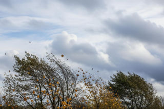 Pogoda Rzeszów 20.11.2025. Co czeka nas w najbliższych godzinach?