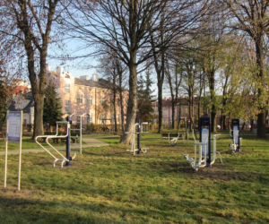 W Rzeszowie powstała nowa siłownia na świeżym powietrzu