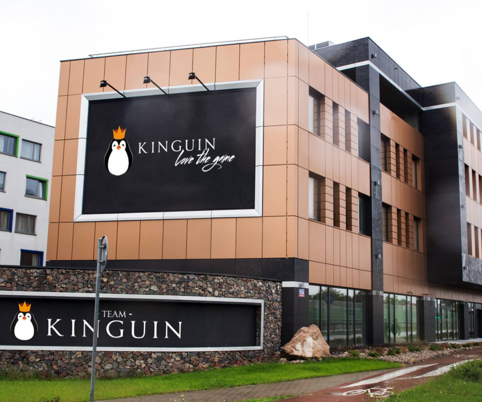 Kinguin wizualizacja/ fot. materiały prasowe