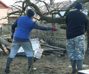 Rolnicy. Podlasie. Andrzej: To wszystko poobcinaj! Na łyso zrób!. Porządkowanie podwórka w Plutyczach