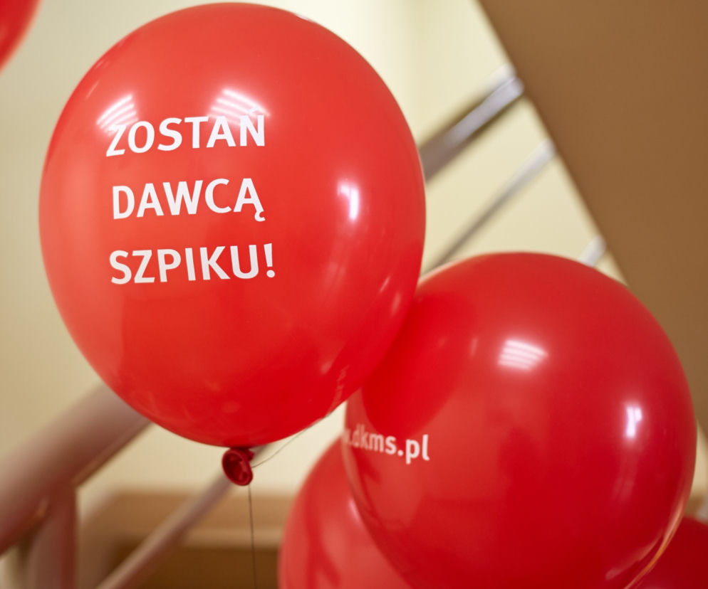 dkms grudziadz