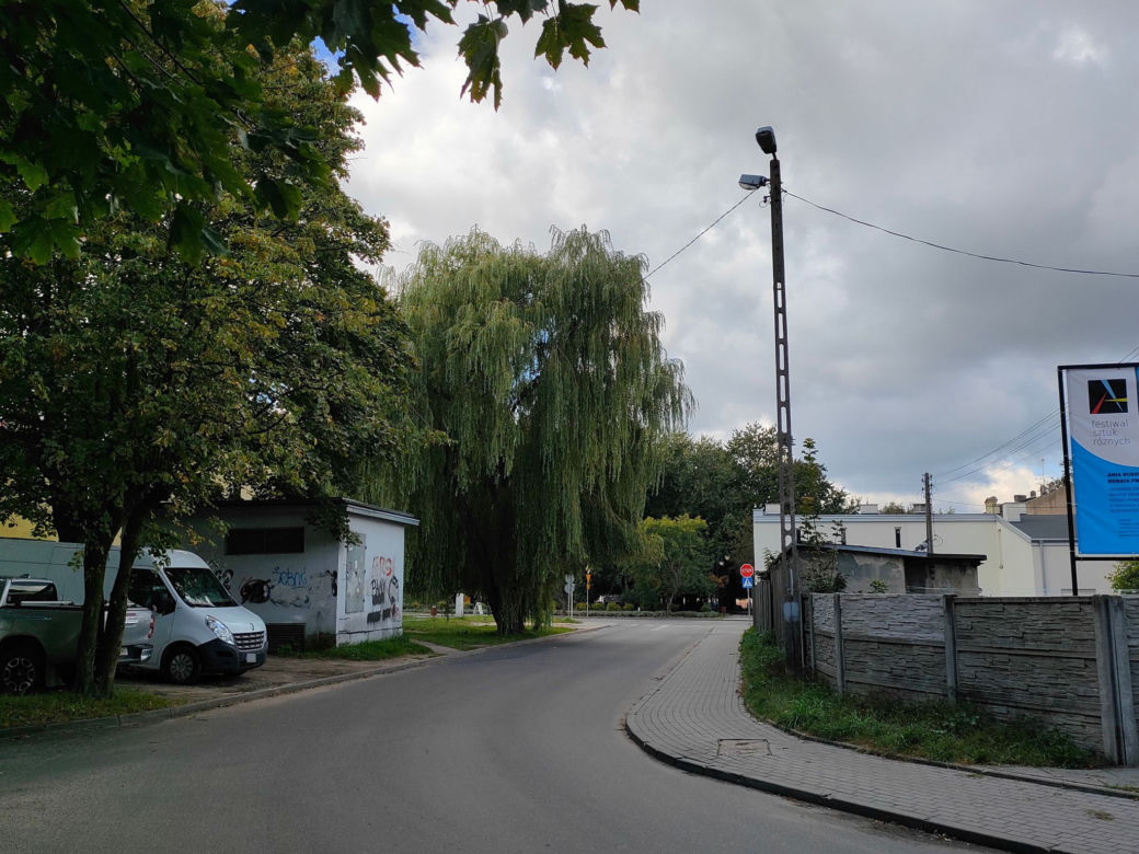 Aleksandrów Łódzki wyłącza oświetlenie na ulicach. „Jest naprawdę bardzo ciemno”