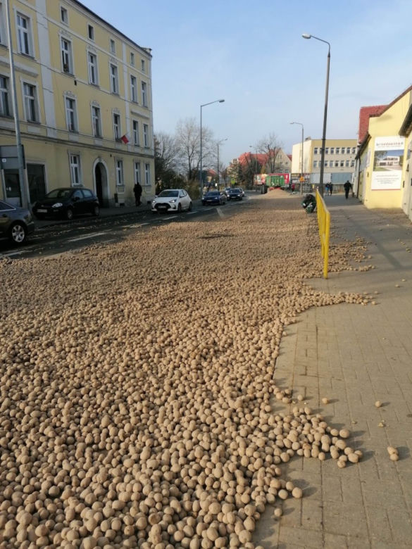 Ziemniakowy wypadek na trasie Wrocław-Opole. "Ludzie zabierają, bierzemy?" [NAGRANIE, ZDJĘCIA]