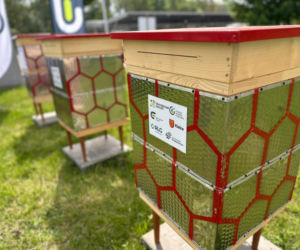 Niezwykła pasieka na terenie Kieleckiego Parku Technologicznego