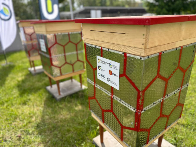 Niezwykła pasieka na terenie Kieleckiego Parku Technologicznego