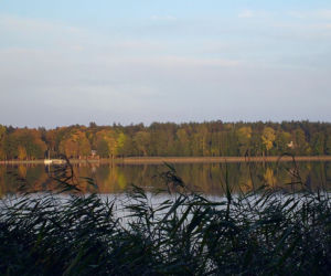 Wikno, Jezioro Omulew