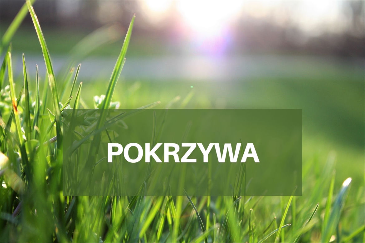 Co pyli w czerwcu 2021? Jakie pyłki wywołują alergie w czerwcu? [LISTA ALERGENÓW]