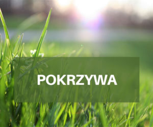 Co pyli w czerwcu 2021? Jakie pyłki wywołują alergie w czerwcu? [LISTA ALERGENÓW]