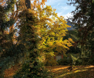 Jesień w ogrodzie botanicznym we Wrocławiu
