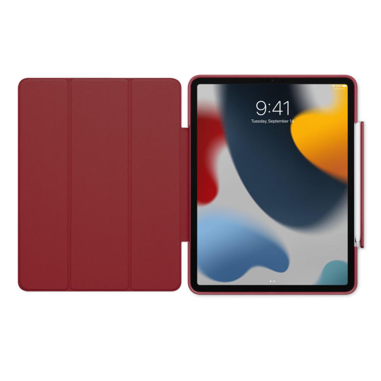 Apple iPad Case