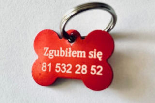 Dzięki temu łatwiej odnaleźć właściciela zagubionego psa. W Lublinie adresatki są za darmo