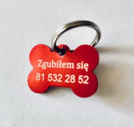 Dzięki temu łatwiej odnaleźć właściciela zagubionego psa. W Lublinie adresatki są za darmo