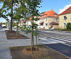 Koniec przebudowy ulicy Hożej w Szczecinie
