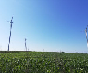 Coraz więcej odnawialnych źródeł energii w Polsce. PGE otwiera kolejne farmy wiatrowe 