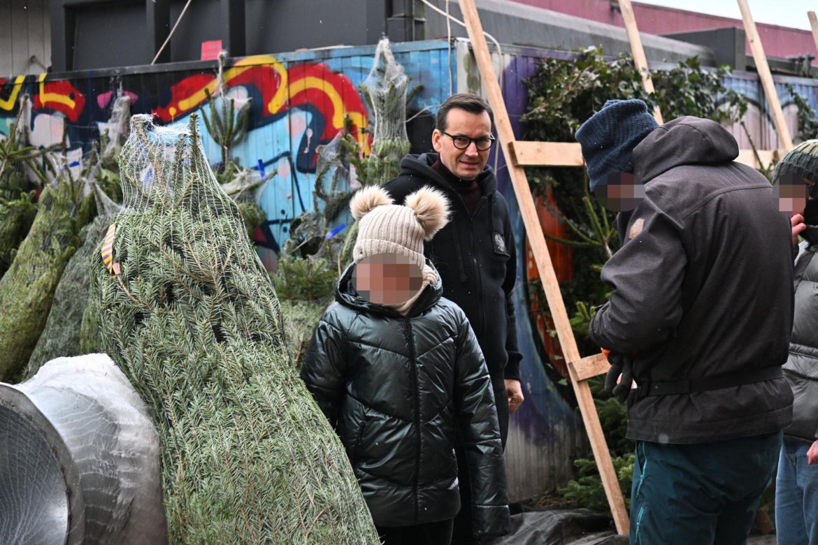 Morawiecki kupuje choinkę na święta