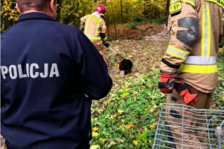 Dostali zgłoszenie o „czarnym człowieku w piwnicy”. Na miejscu strażaków czekała niespodzianka 