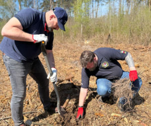 Siedleccy policjanci zasadzili drzewa w Golicach w ramach akcji „Plant a Tree – Green IPA Project”