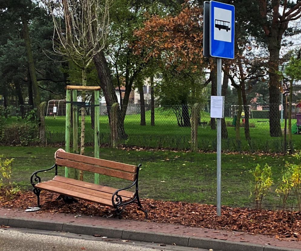 Tragiczna wypadek na przystanku autobusowym