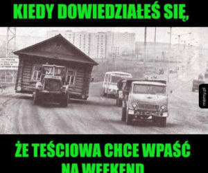 Memy na Dzień Teściowej 2020. Zobacz najśmieszniejsze