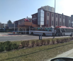 Rzeszów. Zderzenie dwóch autobusów [GALERIA]