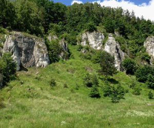 Jura Krakowsko-Częstochowska
