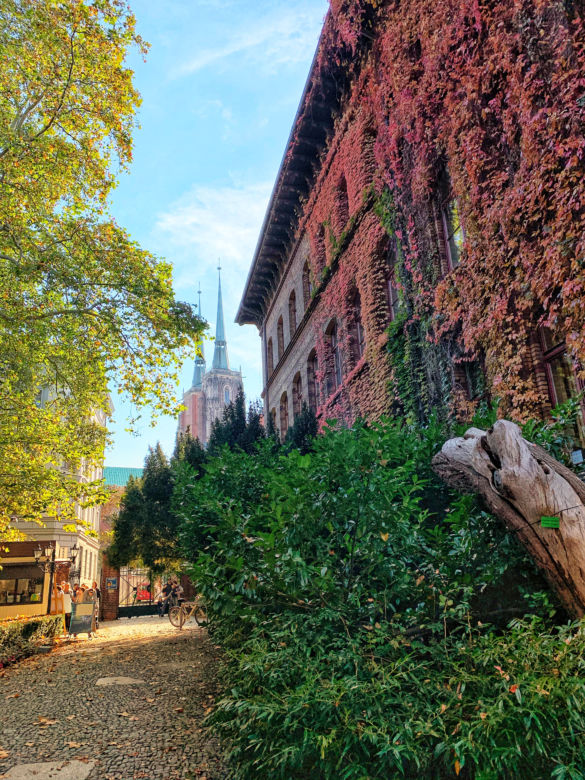 Jesień w ogrodzie botanicznym we Wrocławiu