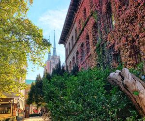 Jesień w ogrodzie botanicznym we Wrocławiu