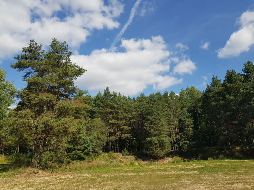 Wieża widokowa w Uhowie. To najwyższa wieża na Podlasiu [ZDJĘCIA]