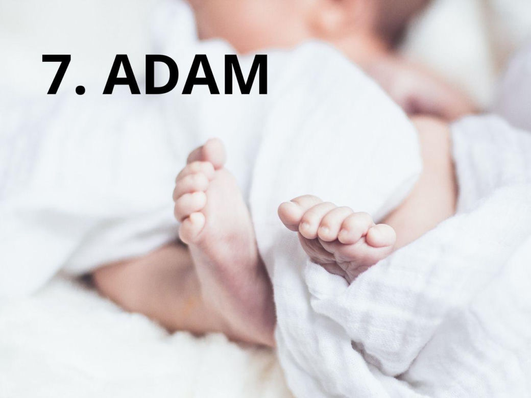 7. Adam (202)