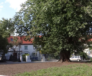 Plac Słoneczny