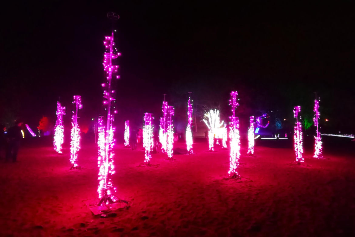 Garden of Lights w Szczecinie