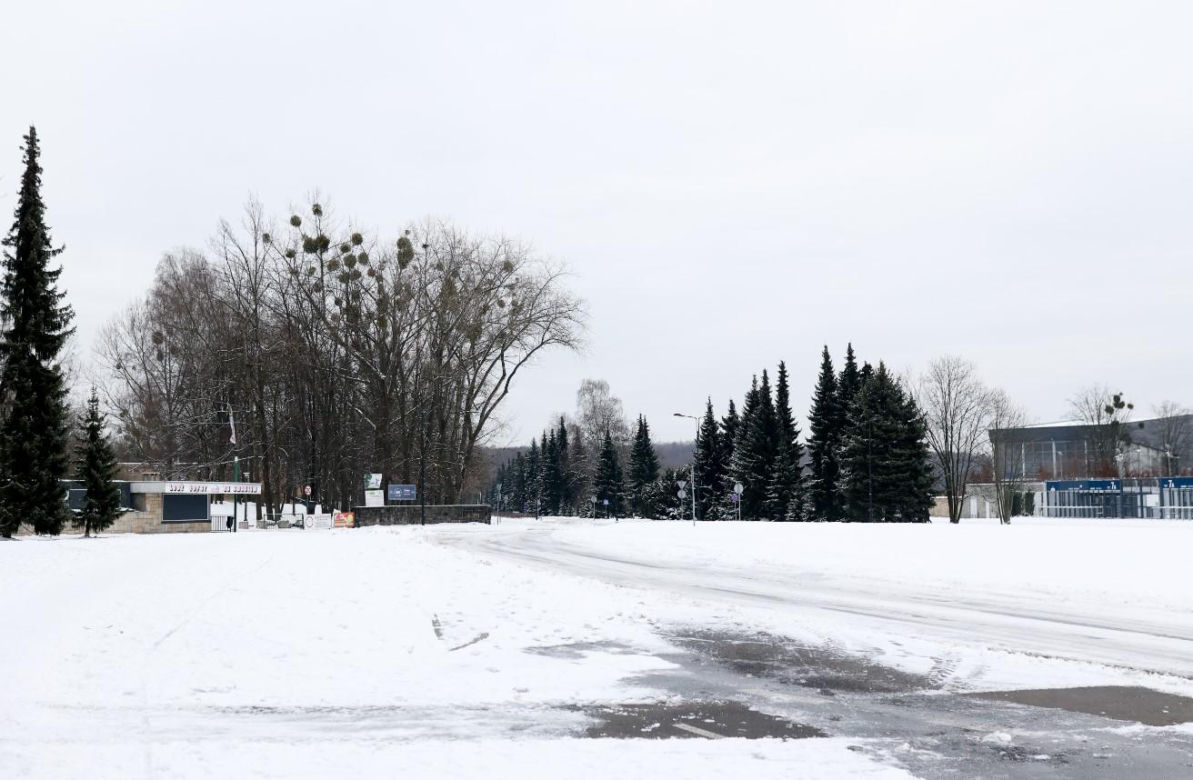 Tam jest jak w bajce! Park Śląski zimą na fotografiach 
