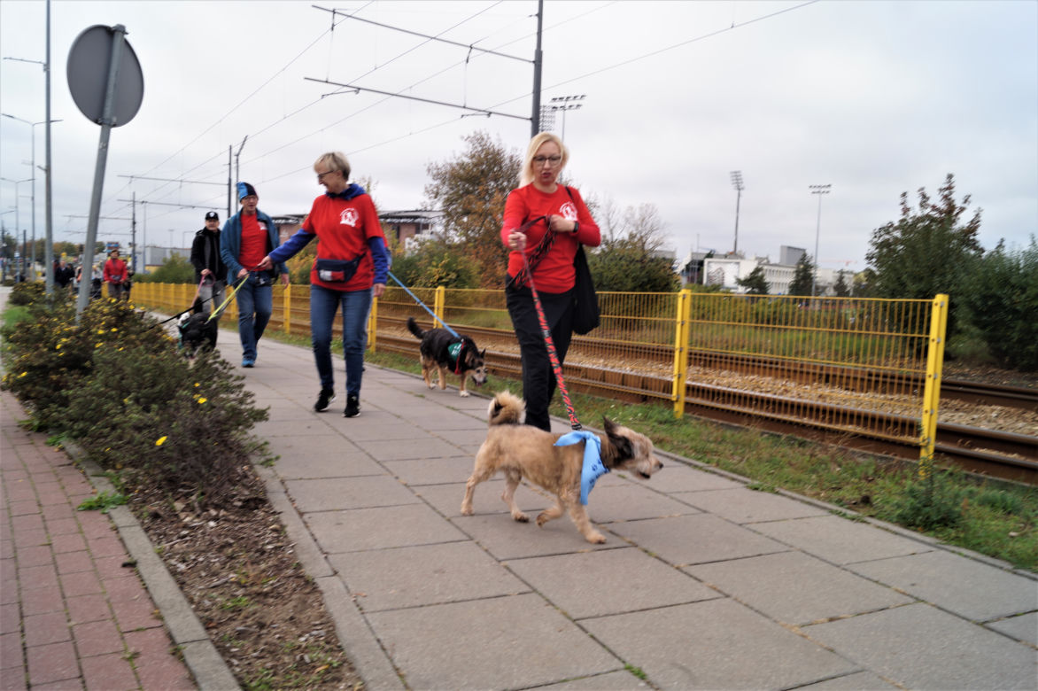 Parada Psów Adoptowanych w Bydgoszczy 2022 [ZDJĘCIA]