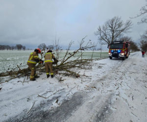 Wichura zniszczyła zabytkową kapliczkę przy sanktuarium