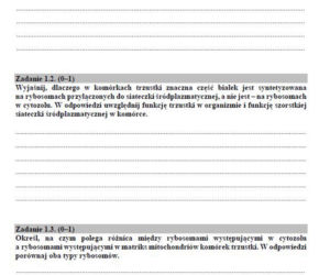Matura 2019 biologia - poziom rozszerzony