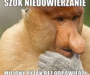 Mecz Polska - Szwecja: MEMY PO MECZU. Polska odpada z Euro 2020 [ZDJĘCIA]