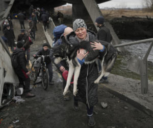 Ukraina. Uratowane zwierzęta