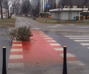 Fruwająca choinka na Pradze