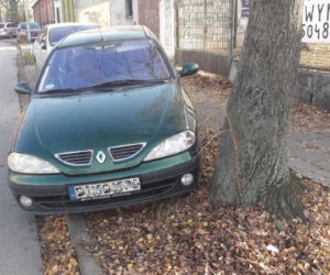MISTRZOWIE parkowania w Radomiu. 