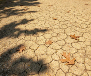 Weekend w Krakowie zafunduje falę gorąca. Temperatura poszybuje z dnia na dzień