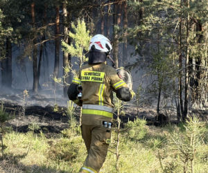 Strażacy walczą z potężnym pożarem na Mazowszu