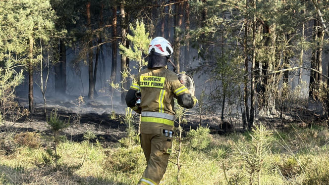 Strażacy walczą z potężnym pożarem na Mazowszu
