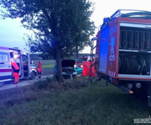 Tragiczny wypadek pod Sępólnem Krajeńskim! Nie żyje mężczyzna [ZDJĘCIA] 