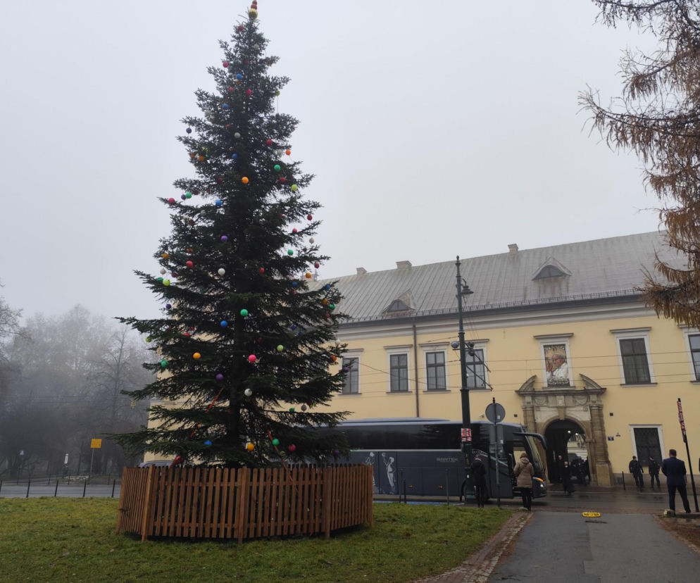 Franciszkańska 2 znów zabłyśnie. Wielkie świąteczne wydarzenie pod Oknem Papieskim