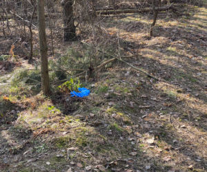 Pojechaliśmy na miejsce śmierci Magdaleny Majtyki. Nawet w dzień przyprawia o dreszcze
