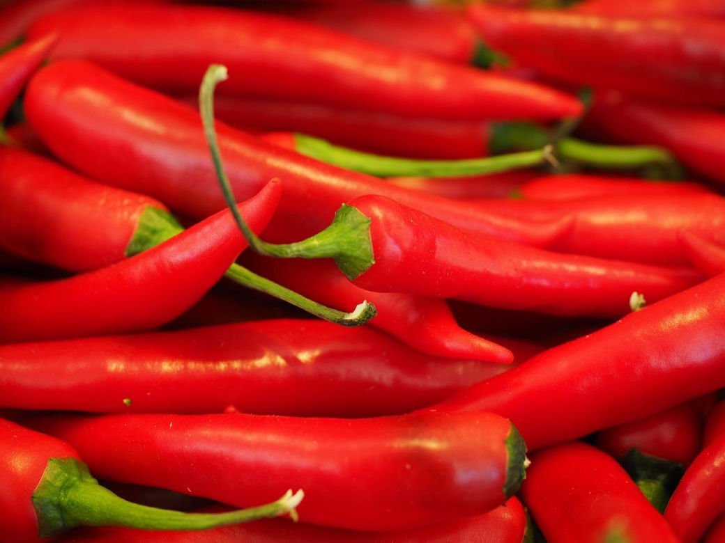 CHILLI CHALLENGE