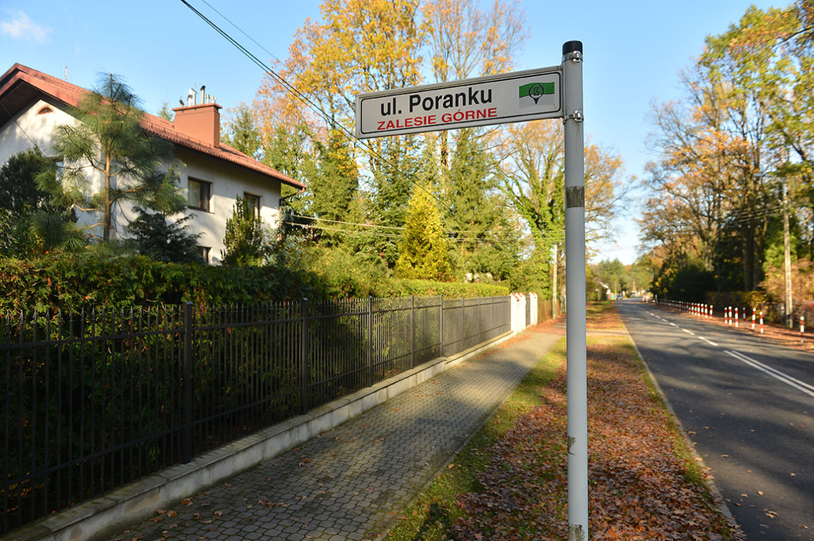 Morderstwo w Zalesiu