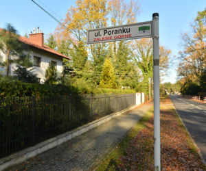 Morderstwo w Zalesiu